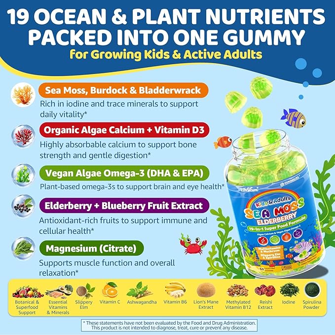 Sea Moss + Elderberry Gummies for Kids &amp Adults 19-IN-1 Super Food with Spirulina Algae Omega 3 Algae Calcium Ashwagandha Mushroom Vitamins D3 C for Immune Gut Bone Energy BrainVegan 6