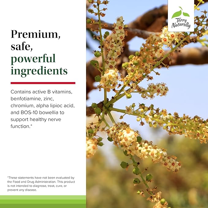 Terry Naturally Healthy Feet &amp Nerves - Herbal Supplement with Bioactive Vitamin B12 - Circulation &amp Nerve Health Support Supplement - Vegan Capsules with Boswellia Serrata - 60 Capsules