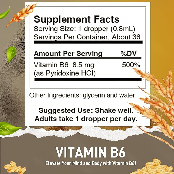 HoneyCombs Vitamin B6 &amp K1 Drops – Liquid Pyridoxine &amp Vitamin K Extracts for Vegan Supports Overall Health Non-GMO Vitamin Liquid Extract 1 fl oz Each