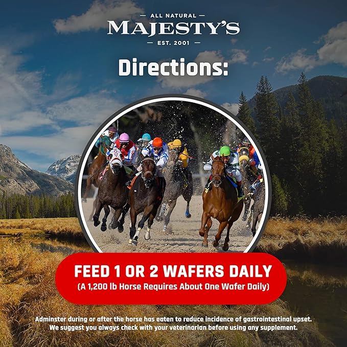 Majesty's Flex XT Wafers - Superior Horse / Equine Joint Support With Increased Supplement Levels - Glucosamine MSM Yucca Vitamin C - 60 Count (2 Month Supply)