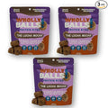 Wholly Balls Protein Bites – Healthy Plant-Based Snack | High Protein Low Sugar Gluten-Free Energy Balls (Pack of 3 Loca-Mocha)