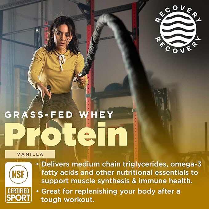 Gnarly Nutrition Gnarly Whey Grass-Fed Protein Supplement Vanilla (32.0oz) Preworkout Mango (14.82oz)