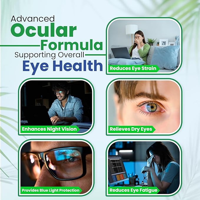 Vision Support Eye Vitamins for Macular Health | Supplements with Lutein Zinc Vitamin A &amp Bilberry | Areds 2 Formula for Red &amp Dry Eyes Sight Care (1 Bottle 60 Capsules)