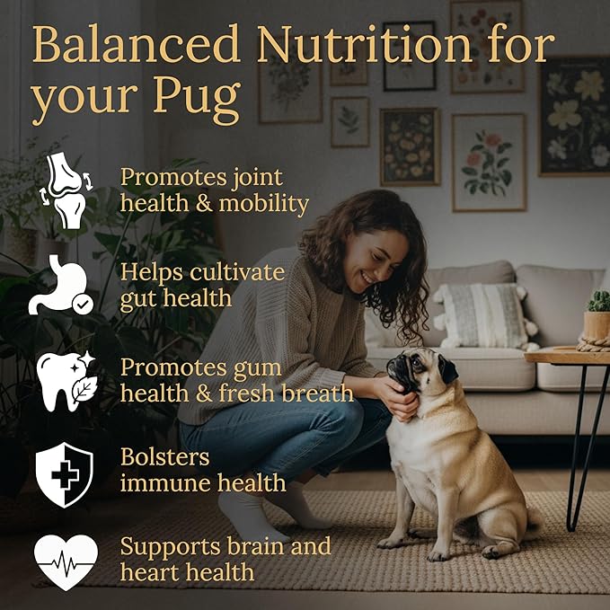 Multivitamins Balanced Nutrition for Your Pug 90 Count Made in The USA with Real Bacon