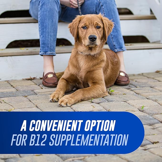 Nutramax Laboratories Cobalequin B12 Supplement for Medium to Large Dogs45 Chewable TabletsHydrolyzed Chicken2.08 Ounces(Pack of 2)