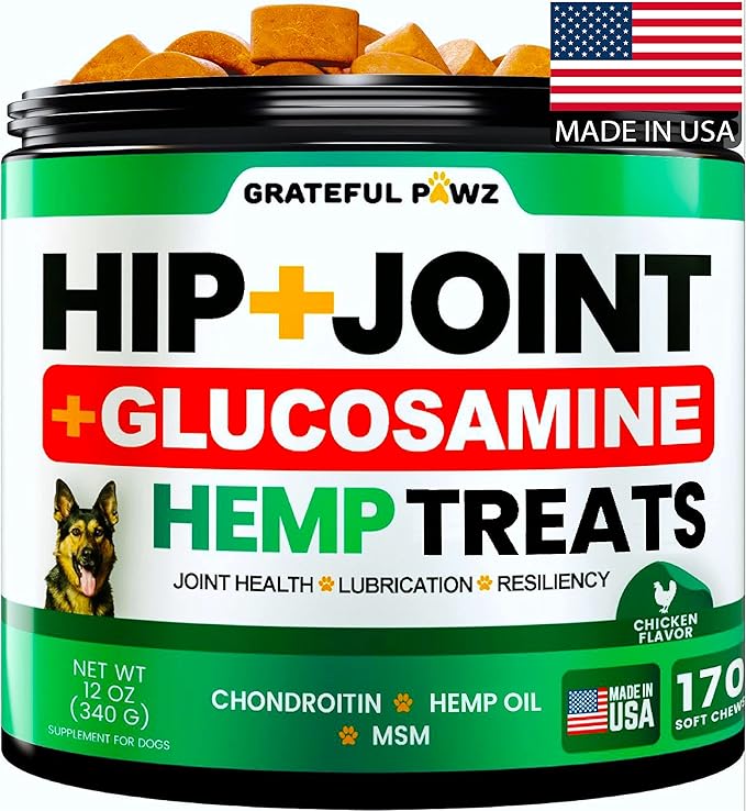 Hemp Hip and Joint Supplement for Dogs - Glucosamine for Dogs - 170 Joint Pain Relief Treats - Chondroitin MSM Hemp Oil - Advanced Health Supplement - Mobility Support Chews - Made in USA