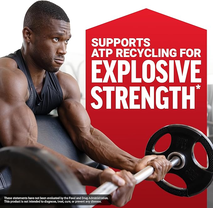 Force Factor Creatine Monohydrate Micronized Powder 500G 5g Dose to Support Muscle Growth Strength Recovery Cognitive Health &amp Memory Unflavored 100 Servings 17.6 Oz