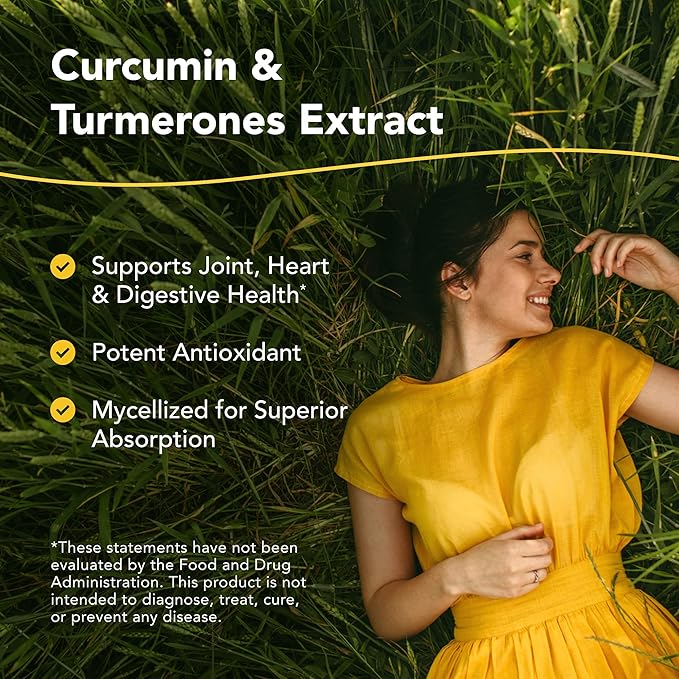 NORTH AMERICAN HERB &amp SPICE Turmeric Power-Plus - 120 Count - Curcumin &amp Turmerones Whole Food Extract - Joint Heart &amp Digestive Health Support - Antioxidant - Non-GMO - 60 Servings