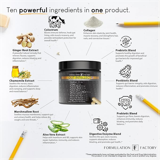 Formulation Factory Probiotics for Women &amp Men - Gut Intellect 10-in-1 Digestive Enzymes with Prebiotics and Postbiotics - Total Gut Health Supplement - 120 Capsules 2 Month Supply