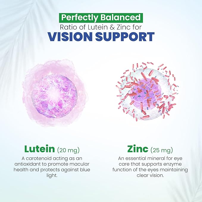 Vision Support Eye Vitamins for Macular Health | Supplements with Lutein Zinc Vitamin A &amp Bilberry | Areds 2 Formula for Red &amp Dry Eyes Sight Care (1 Bottle 60 Capsules)