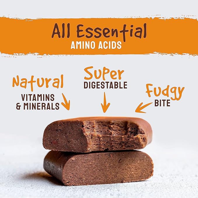 BodyMe Organic Vegan Protein Bar | Raw Cacao Orange | Box of 12 x 60g (2.12oz) | with 3 Plant Proteins
