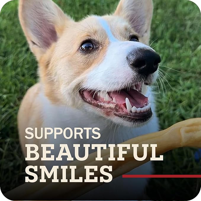 Redbarn Pet Products Redbarn Natural 12 Beef Collagen Braids - Case of 20 Sticks - Long Lasting Low-Odor Alternative to Rawhide &amp Bully Sticks -Single Ingredient Chew for Medium Large Dogs