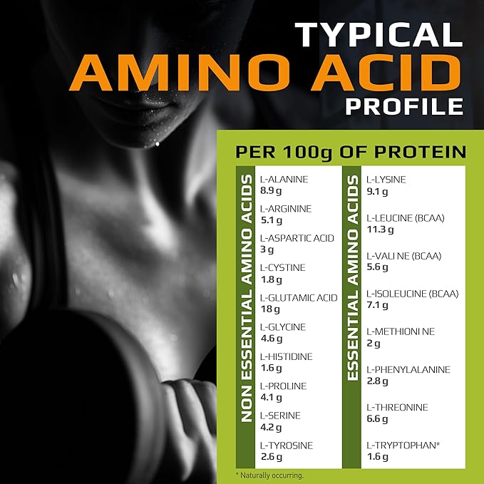 MFL Muscle Whey Protein 5 lbs l 26g of Protein l 8g BCAAs l 6g Glutamine l Low Carbs l 69 Servings (Vanilla Bean)