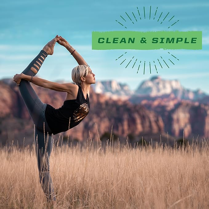 SUNWARRIOR Organic Classic Vanilla Protein 375 GR