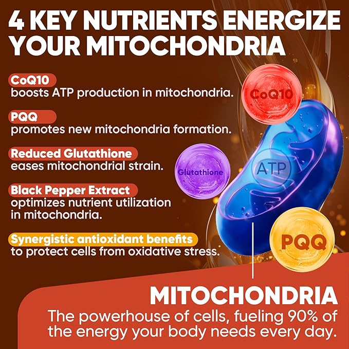 1Pack Liposomal Fisetin Softgels 1200mg + 1Pack Liposomal CoQ10-200mg Softgels