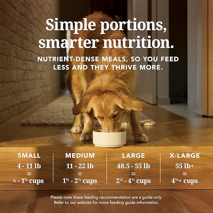 K9 Natural Beef Freeze Dried Dog Food High-Meat Natural Complete Meal or Meal Toppers for Dogs Grass-Fed Beef from New Zealand Grain-Free GMO-Free Complete &amp Balanced Nutrition 4lb