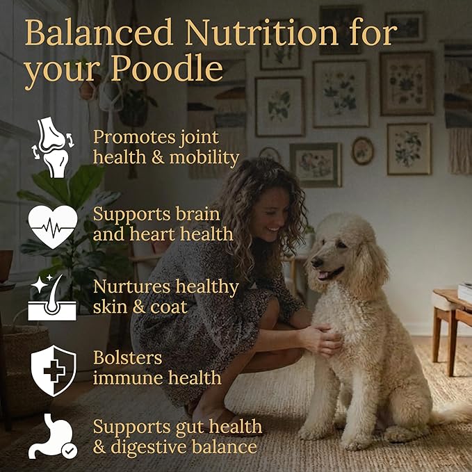Multivitamins Balanced Nutrition for Your Poodle 90 Count Made in The USA with Real Bacon