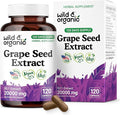 Wild &amp Organic Grape Seed Extract Capsules - 20000 mg Strength Grapeseed Extract Equivalent - 95% Polyphenols - 400 mg per Serving - 120 Vegan Capsules - 4 Month Supply - Non-GMO