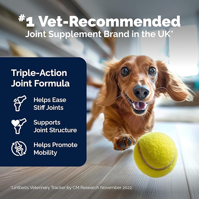 Yumove Hip &amp Joint Supplement for Dogs with Glucosamine Hyaluronic Acid Green Lipped Mussel &amp Omega 3 Joint Supplement - Regular or Advanced Strength (300 Count Chewable Tablets)