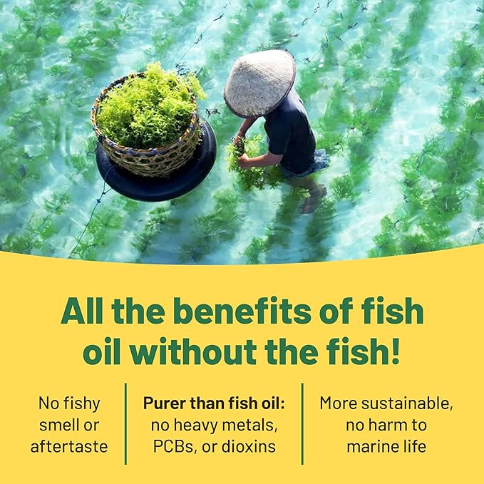 Vegan Vitality Vegan Omega 3 Supplement - 60 Plant Based Algae Oil Soft Gels Essential Fatty Acids with Vegan DHA for Joint Heart &amp Immune Support Without EPA