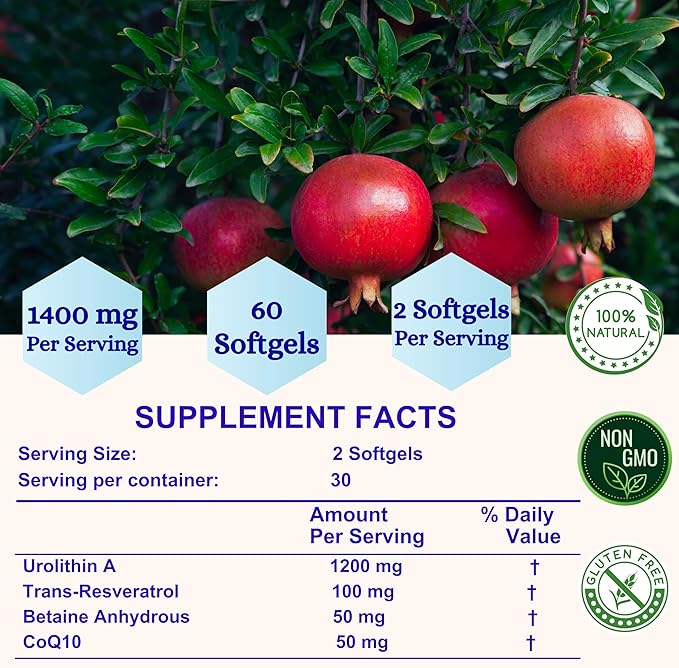 Nikoni Liposomal Urolithin-A Supplement 1400mg Supports Healthy Aging Cellular Renewal &amp Muscle Health- 60 Softgels