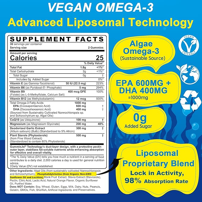 Vegan Omega-3 Gummies 1000mg + CoQ10 + Magnesium + Organic Toddler Multivitamin Gummies + Omega-3 (DHA/EPA) 2pack