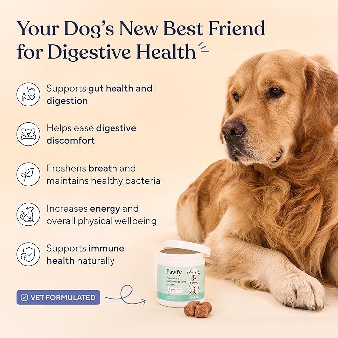 Pawfy Probiotics for Dogs | Supports Digestive Health Diarrhea for Small Large Dogs | Improves Gut Health | Anti Yeast Supplements | Skin Health Seasonal Allergies Support - 30 Chews (Bacon)