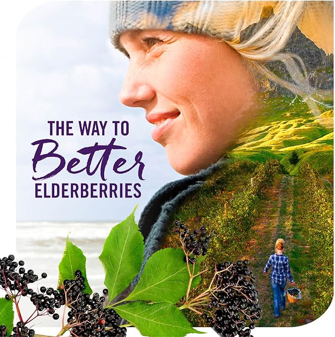 Nature's Way Sambucus Elderberry Immune Syrup for Kids Ages 2+Echinacea &amp Propoliswith Superfood Antioxidants(1)Immune Support Syrup*VegetarianBerry Flavored8 Fl Oz(Pack of 2)