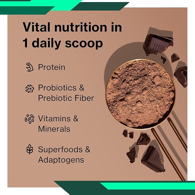Zion 100% Plant Based Protein Powder Chocolate Fudge Ice Cream Protein 1 Pound High Impact 100% Pure Plant Protein by McDuffie 5 Zion Perfect for for Muscle Recovery &amp Strength 1 Pound Protei