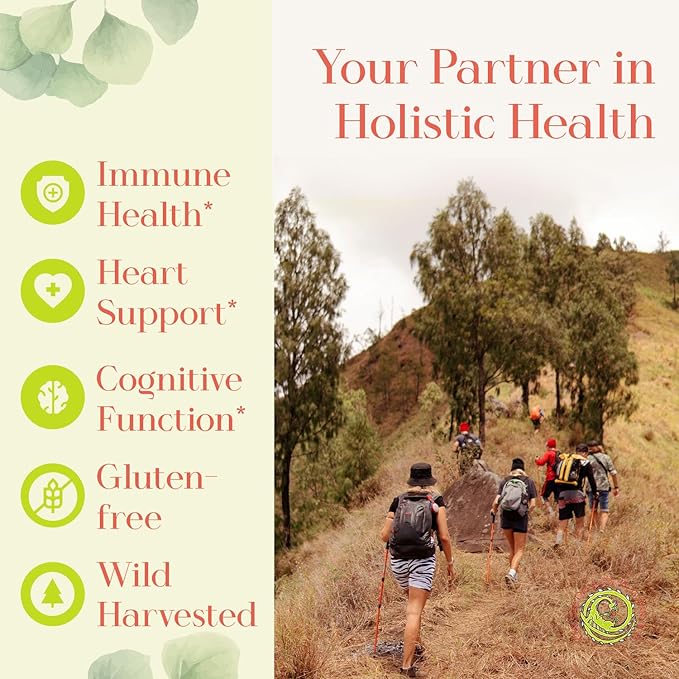 Japanese Knotweed Capsules 500 mg 100 Capsules Made in USA - Natural Source of Resveratrol Immune Support Supplement Non-GMO Gluten-Free Vegetarian Japanese Knotweed Root for Cardiovascular Health.*