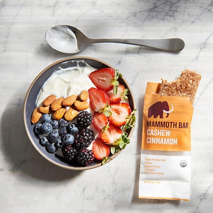 Cashew Cinnamon Bar- Organic Paleo Gluten Free and Raw by Mammoth Bar 10-12g Protein 1.8 Oz. Bar (10 Bars) …
