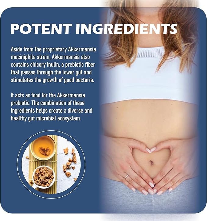 Akkermansia Probiotic with Prebiotic Fiber - Increases GLP-1 Production Delayed Release Third-Party Tested 100M AFU Live Strain for Gut Health for Men &amp Women (1pc)