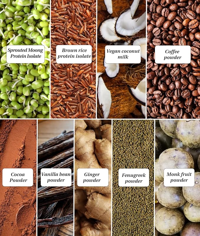 It's Moong Mung Bean &amp Brown Rice Isolate Protein | 24gms per Serve 4.7gms BCAA| African Cocoa Latte | 500gms | Sprouted Plant Protein | Easy on The Gut Easy Digestibility