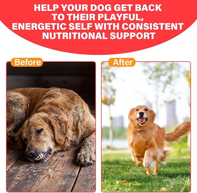 Iron Supplement for Dogs – Supports Blood Health Red Blood Cell Formation &amp Oxygen Supply for Anemia Vitamin C Folate Vitamin B12 Boost Energy and Improve Blood Circulation 120 Tablets