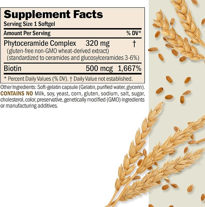 ANDREW LESSMAN Phytoceramides with Biotin 60 Softgels - Skin’s Vital Natural Internal Moisturizer. Naturally Enhances Soft Smooth Radiant Skin. No Additives. Small Easy to Swallow Softgels