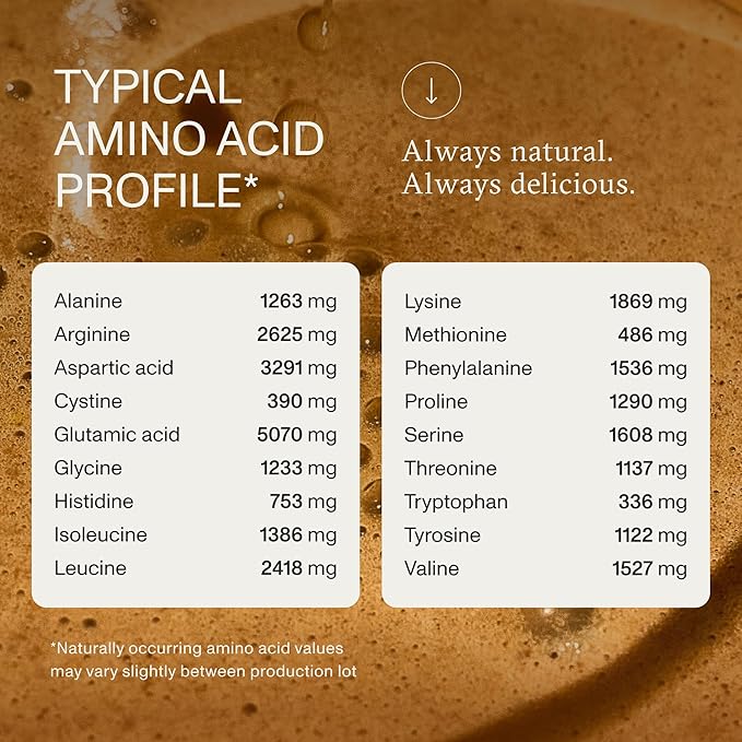 Synchro Genesis Plant Based Protein Powder | Chocolate Superfood | 30g of Organic Protein Per Serving | &lt1g Sugar | 1g Net Carbs | No Stevia | Superfoods + Prebiotics | Vegan + Keto Friendly