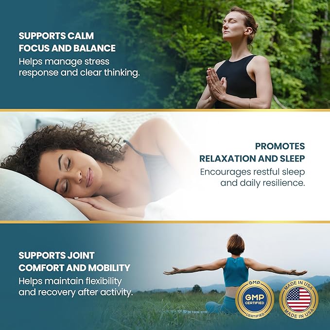 Vykee Nutrition Ashwagandha Capsules - 1200 High Potency Herbal Supplement with Piperine for Stress Focus and Sleep Support - Vegan Non-GMO Gluten-Free - 120 Count
