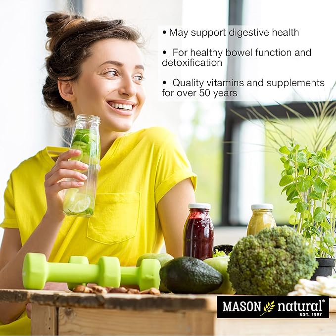 Mason Natural Probiotic with Prebiotic 120 Day Supply for Normal Digestive Function &amp Improved Gut Health 3 Pack