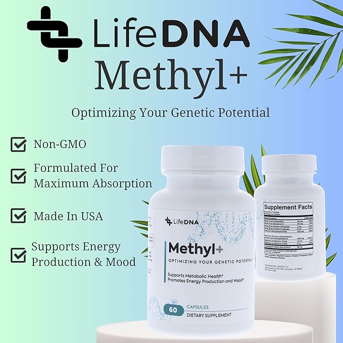 LIFEDNA Methyl + Methylfolate - Methylated Folate Vitamins Active 5-MTHF TMG Optimized Homocysteine Brain Cardiovascular Highly Bioavailable MTHFR Supplement