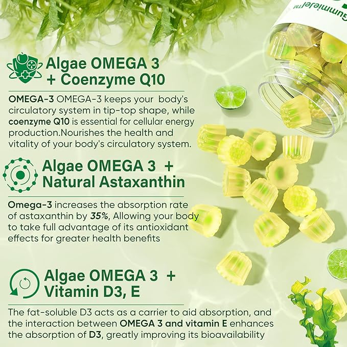 Sugar Free Omega 3 Fatty Acid 2000mg With 640mg DHA &amp 290mg EPA Multivitamin CoQ10 Astaxanthin + Ginger Filled Gummies for Nausea - Stomach Relief - Ultra Absorption for Digestive Support