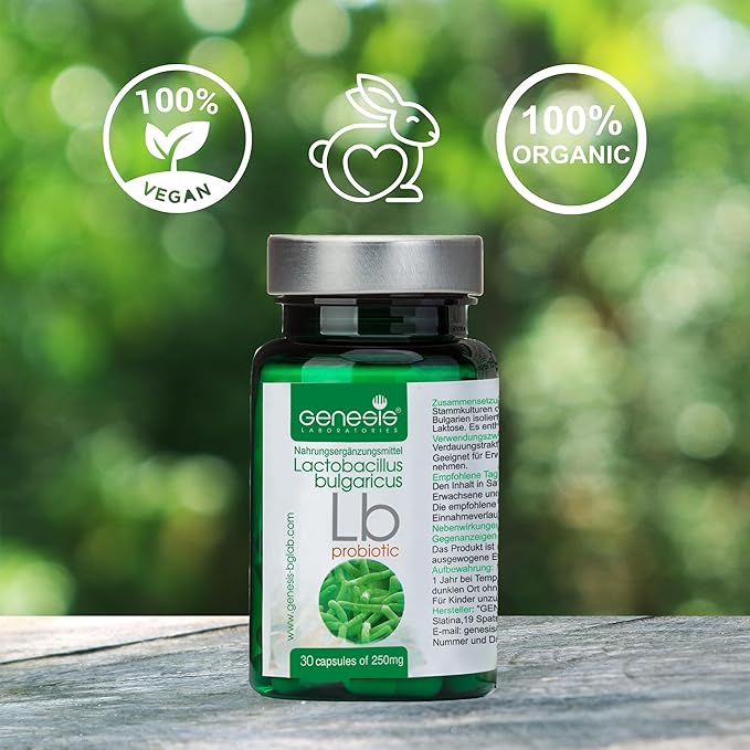Probiotic Lactobacillus Supplement 30 Capsules with Lactobacillus Bulgaricus 250 mg Probiotic Digestive Immune Support Gut Health Probiotics for Digestive Health Anti Bloating