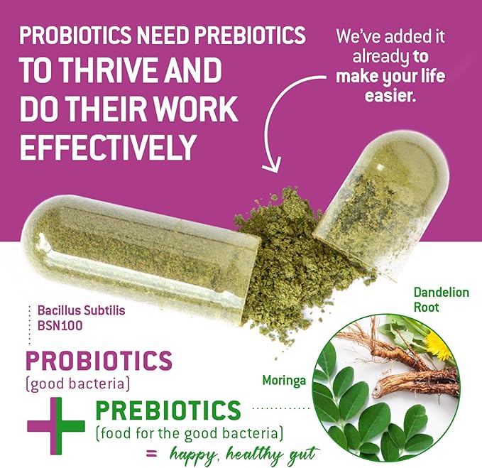 Bacillus Subtilis Spore Based Probiotic — High Potency Strain with Prebiotic for Balanced Belly | Daily Gut Health &amp Microbiome Support for Family | 6 Billion CFU Per Day | 90 Vegetarian Capsules