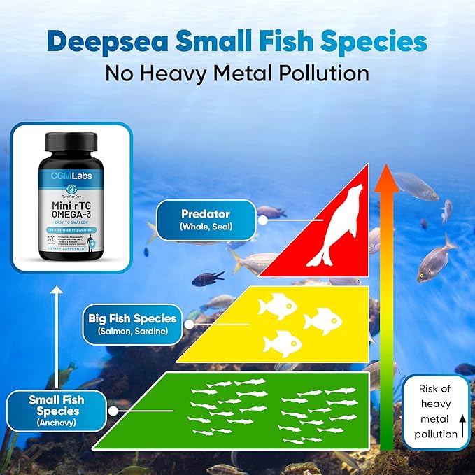 rTG Omega-3 Fish Oil – 960 mg EPA &amp DHA per Serving | Burpless High-Absorption Re-Esterified Triglyceride from Wild-Caught Anchovy | 120 Softgels