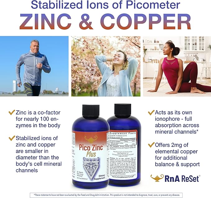 RnA ReSet Pico Zinc Plus – Liquid Zinc &amp Copper Supplement Pico-Ionic Mineral Solution 8.1 Fl Oz (1-Pack) NSF Contents Certified Immune Support Skin Health Cellular Health Vegan