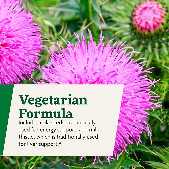 Floradix Epresat Adult Liquid Multivitamin - Herbal Supplement - Daily Supplement with Vitamin A D B6 Milk Thistle &amp More - Supports Energy &amp Liver Health - Vegetarian Non-GMO - 8.5 fl oz