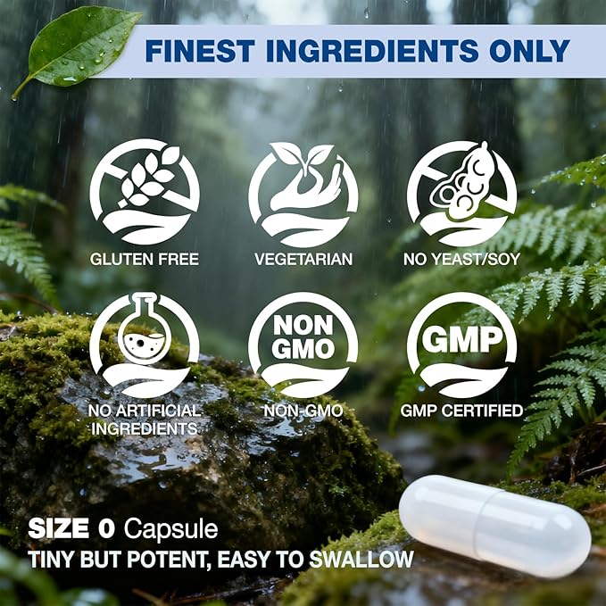 Active Folate (Folinic Acid 1000 MCG) + B12 500 mcg (Adenosyl &amp Hydroxo) Gentle &amp Highly Absorbable Supports Energy Brain Health &amp Metabolism Vegan 90 ct