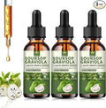 (3 Pack) Soursop Graviola Liquid Drops 2000mgImmune BoostCell Support &amp RegenerationNatural AntioxidantSoursop Extract - 98% Sugar/Gluten Free Natural Flavor 6 Fl Oz