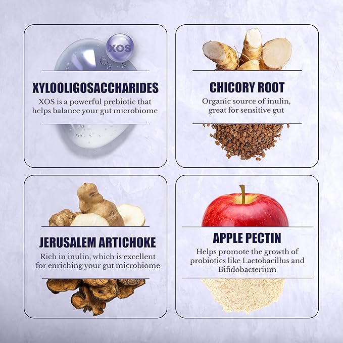 Prebiotics for Digestion Immunity and Wellness - with Inulin from Jerusalem Artichoke and Chicory Root - Prebiotics for Women &amp Men 90 Capsules