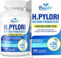 H Pylori Defense Supplements: Stomach Comfort Probiotics 100 Billion CFU with Lactobacillus Reuteri Mastic Gum Berberine for Digestive &amp Gut Health Vegan 120 Capsules