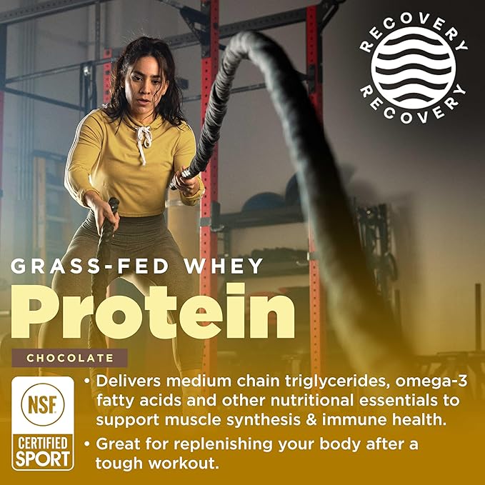 Gnarly Nutrition Gnarly Whey Grass-Fed Protein Supplement Chocolate (32.0oz) Preworkout Mango (14.82oz)